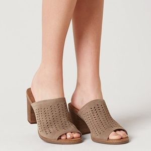 TOMS Leila Mule.